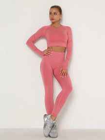 Conjunto fitness, conjunto fitness feminino, conjunto fitness feminino manga longa, conjunto para academia, roupa para academia, conjunto de academia, conjunto fitness diversas cores, conjunto fitness rosa